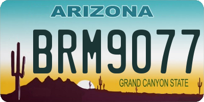 AZ license plate BRM9077