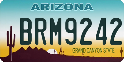 AZ license plate BRM9242
