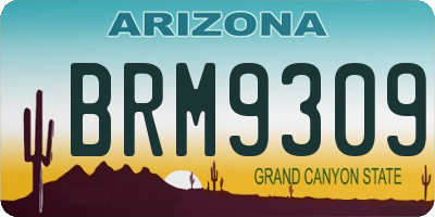AZ license plate BRM9309