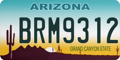 AZ license plate BRM9312