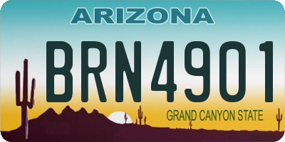 AZ license plate BRN4901