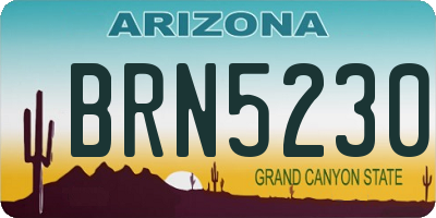 AZ license plate BRN5230