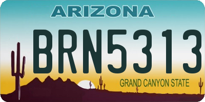 AZ license plate BRN5313