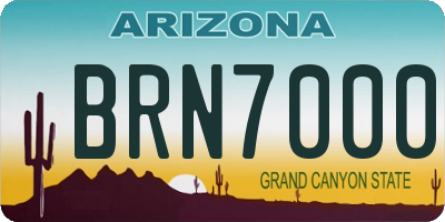 AZ license plate BRN7000