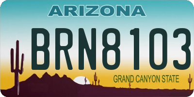 AZ license plate BRN8103