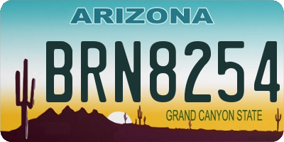 AZ license plate BRN8254