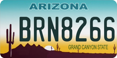 AZ license plate BRN8266