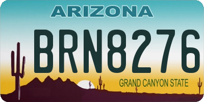 AZ license plate BRN8276