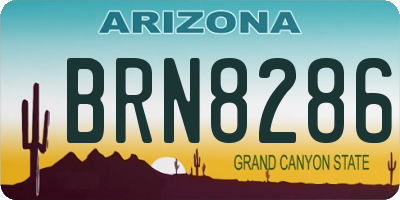 AZ license plate BRN8286