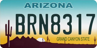 AZ license plate BRN8317