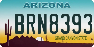 AZ license plate BRN8393