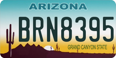 AZ license plate BRN8395