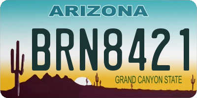 AZ license plate BRN8421
