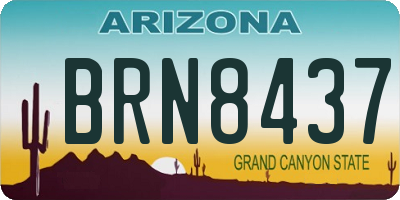 AZ license plate BRN8437