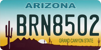 AZ license plate BRN8502