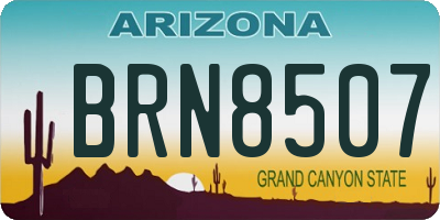 AZ license plate BRN8507