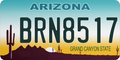 AZ license plate BRN8517
