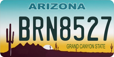 AZ license plate BRN8527