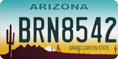 AZ license plate BRN8542