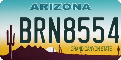 AZ license plate BRN8554