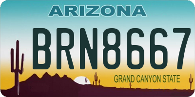 AZ license plate BRN8667