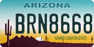 AZ license plate BRN8668