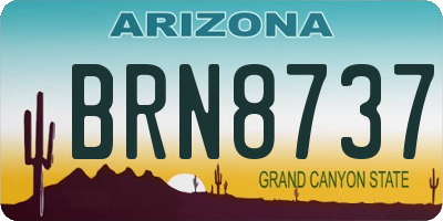 AZ license plate BRN8737
