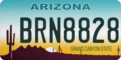 AZ license plate BRN8828