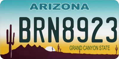 AZ license plate BRN8923