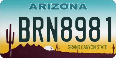 AZ license plate BRN8981