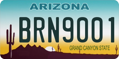 AZ license plate BRN9001