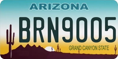 AZ license plate BRN9005