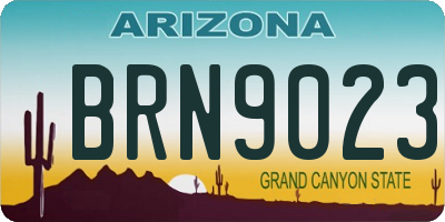AZ license plate BRN9023