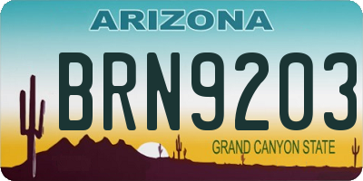 AZ license plate BRN9203