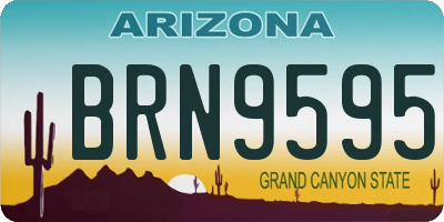 AZ license plate BRN9595