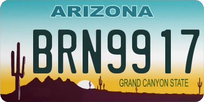 AZ license plate BRN9917