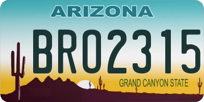 AZ license plate BRO2315