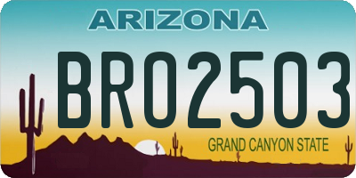 AZ license plate BRO2503