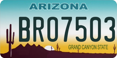 AZ license plate BRO7503