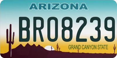 AZ license plate BRO8239