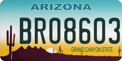 AZ license plate BRO8603