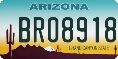 AZ license plate BRO8918