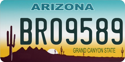 AZ license plate BRO9589