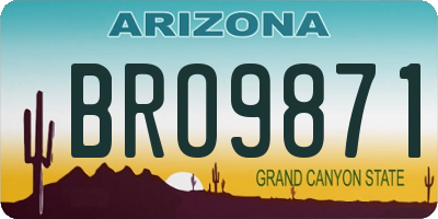 AZ license plate BRO9871