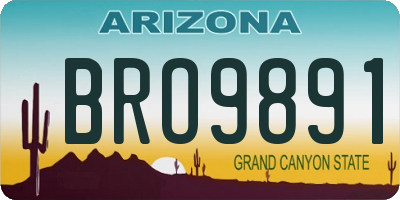 AZ license plate BRO9891
