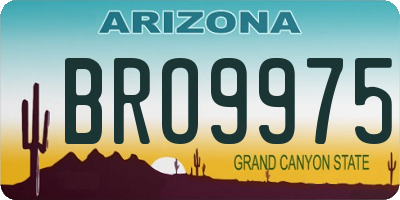 AZ license plate BRO9975