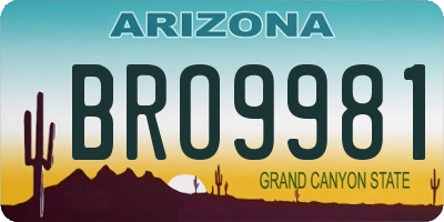 AZ license plate BRO9981
