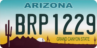 AZ license plate BRP1229