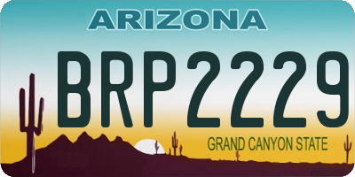 AZ license plate BRP2229
