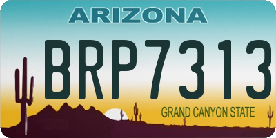 AZ license plate BRP7313
